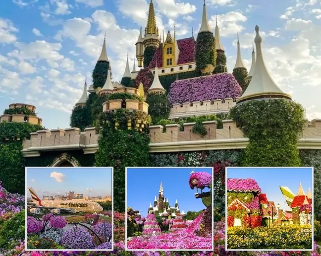 Dubai Miracle Garden flower sculptures